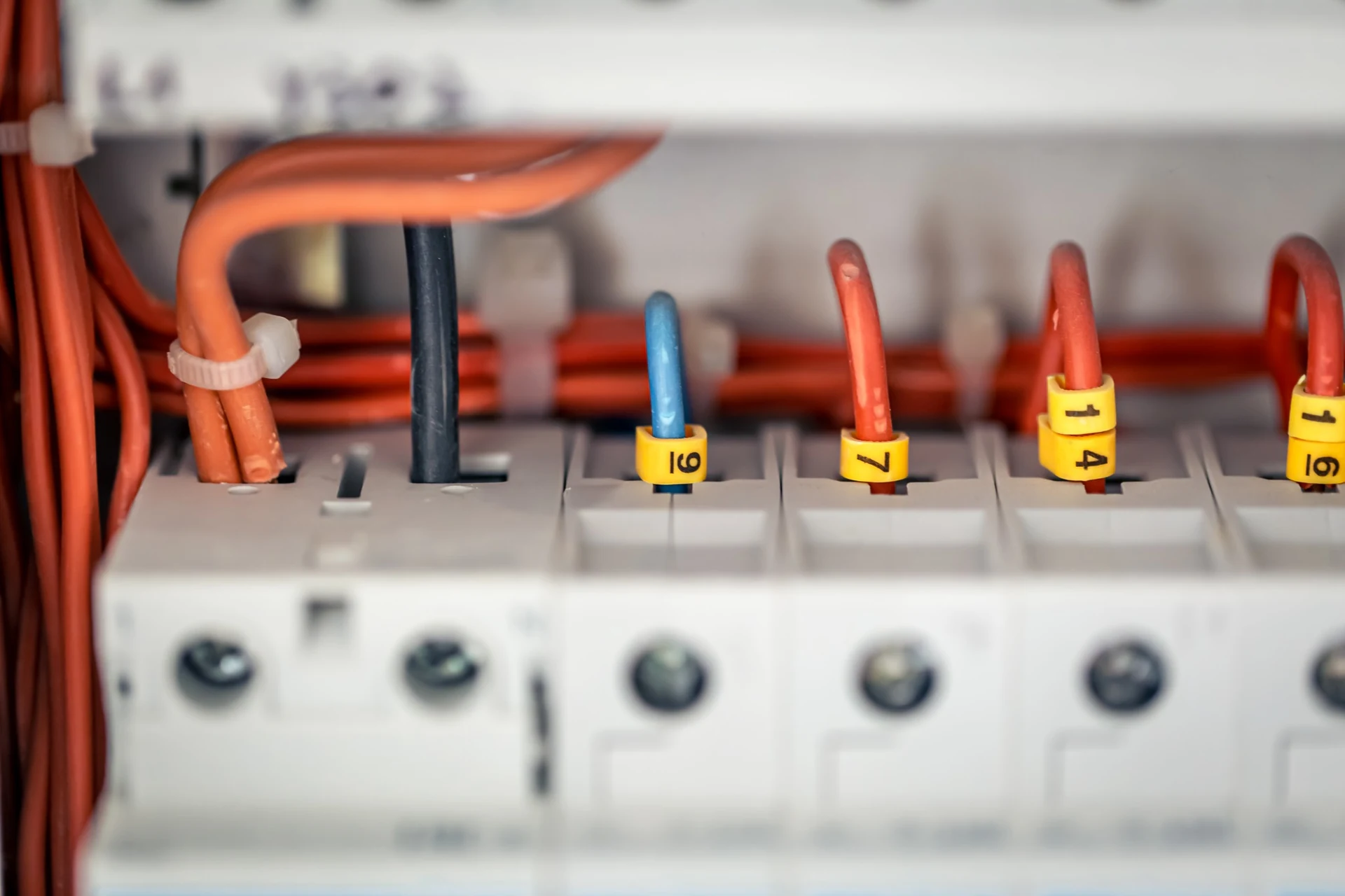 Close-up of circuit protection and labelled conductors inside an electrical distribution board