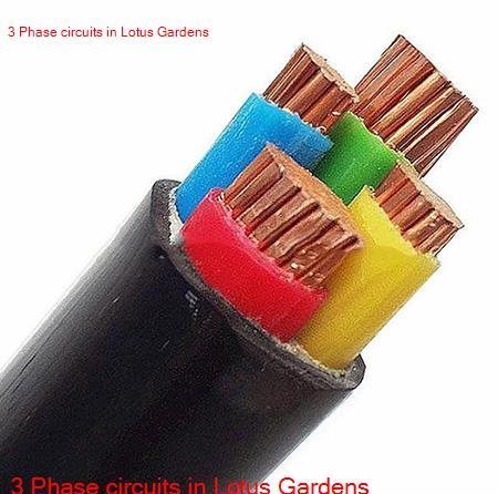3 phase electricity in Lotus Gardens