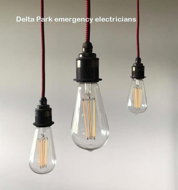 Emergency electrical help in Delta Park