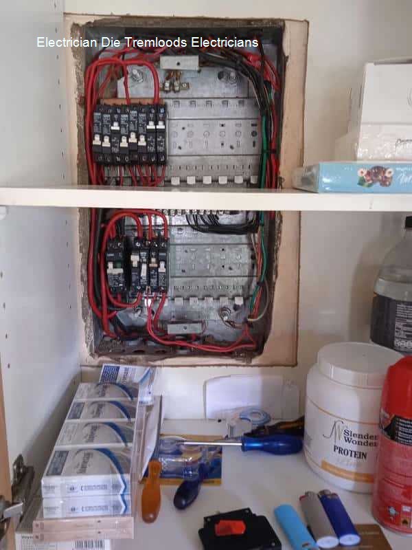Electrician Die Tremloods electricians work round the clock including weekends and public holidays with a free quotation.