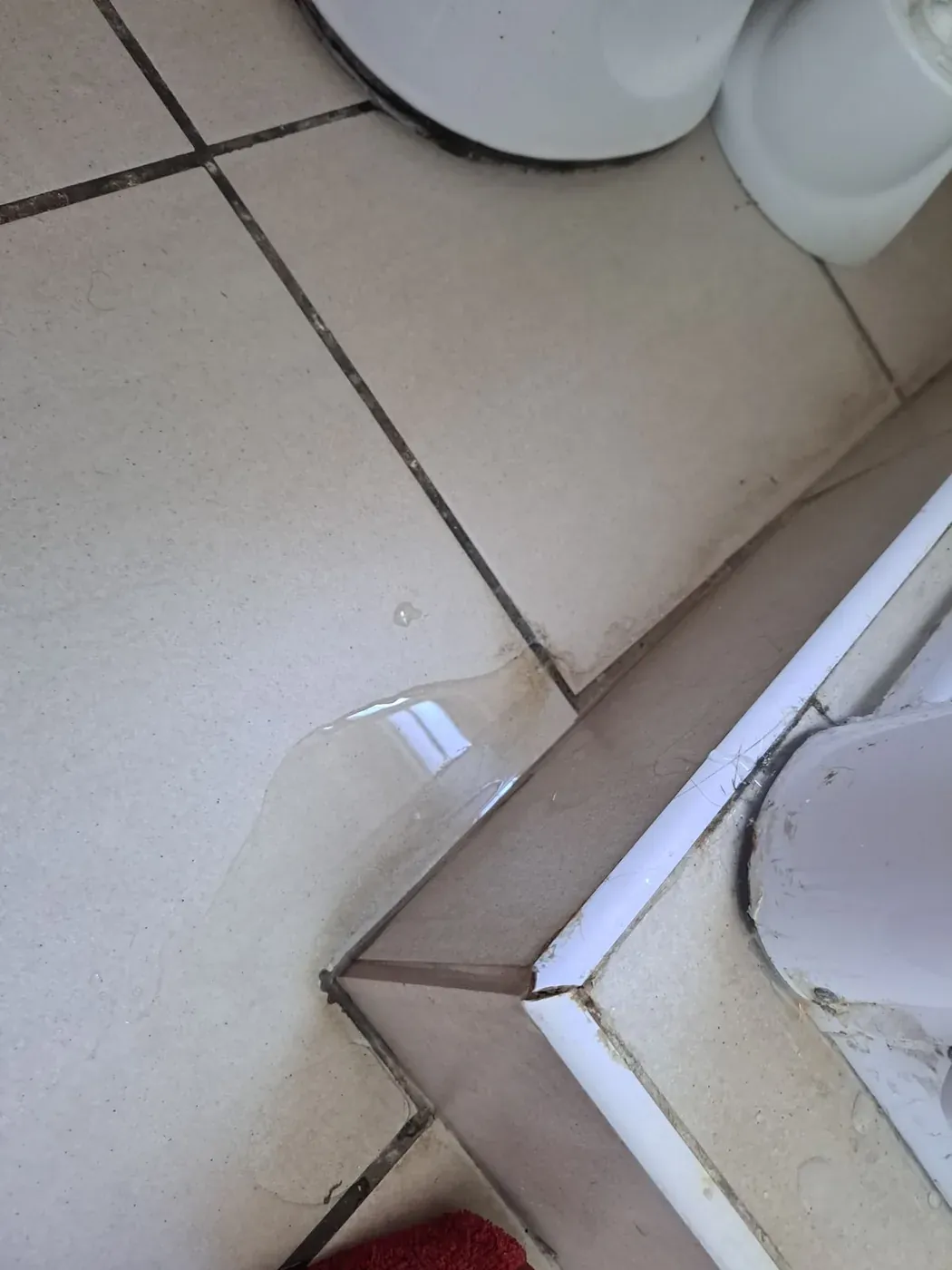 Wet bathroom floor showing signs of a concealed plumbing leak
