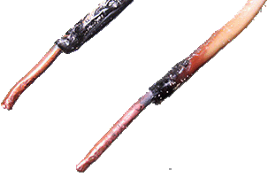 Welgedag burnt wire