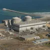 Koeberg nuclear fuel